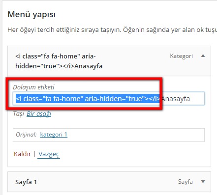 Font Awesome ikonları nasıl eklenir wordpress menü ekleme
